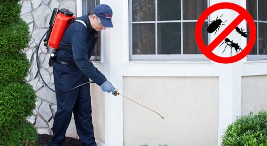 Üsküdar Bit İlaçlama böcek ilaçlama ve haşere kontrolü — ilaclama-tr.com